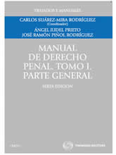 Manual de Derecho penal. Tomo I. Parte General 6 ed (2011)